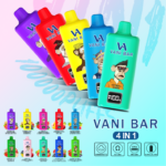 VANI BAR 4 IN 1 100K Puffs
